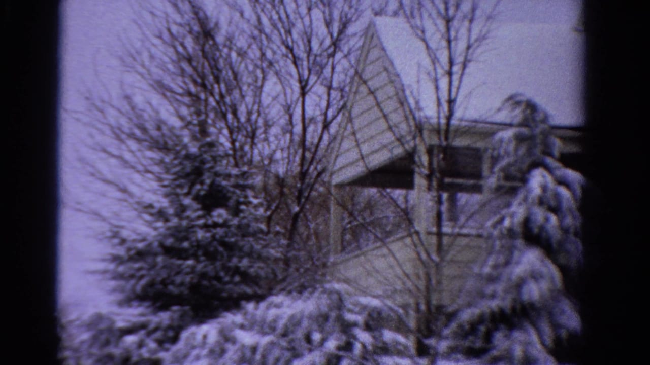 1958 Ontario home-movie frame showing snow-laden evergreens, bare branches, and part of a suburban house roofline.
