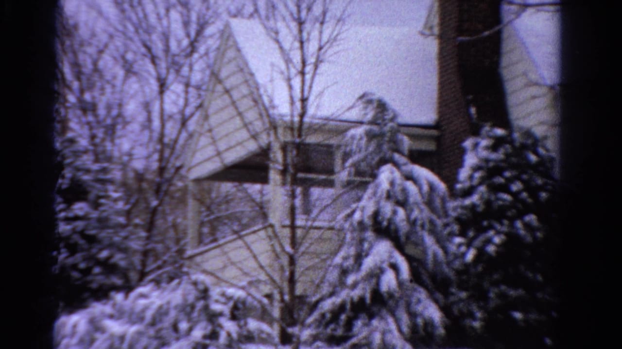 Snowy evergreens stand in front of a pale house with a gabled roof.