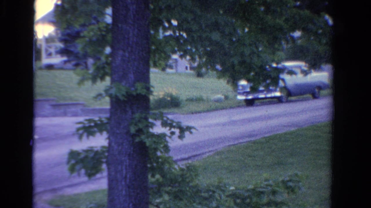 Tree-lined residential street with a car passing houses and lawns.