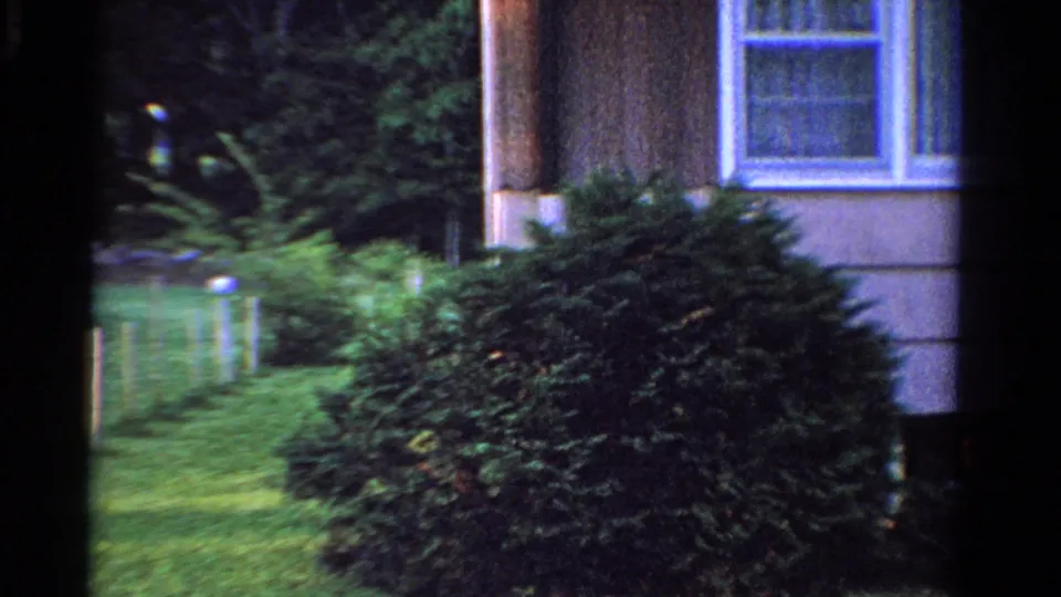 1958 Ontario home-movie frame showing a brown-sided house front, curtained window, large shrub, lawn, and trees.