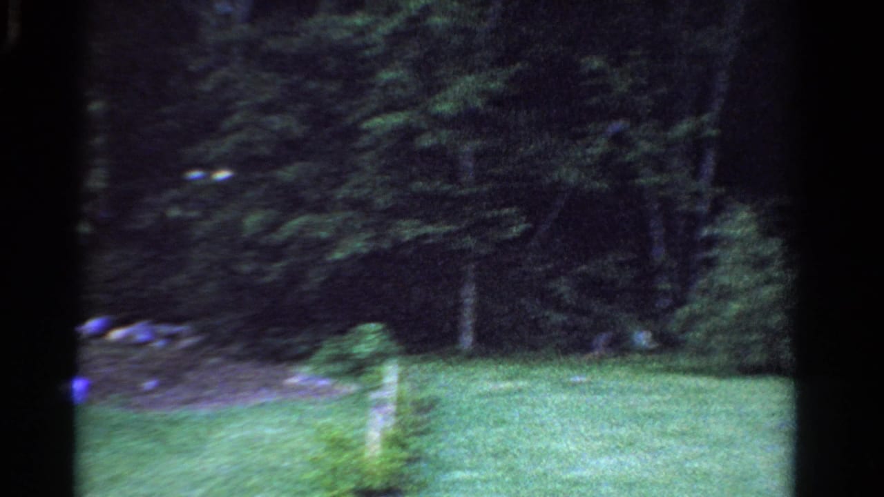 1958 Ontario yard view with green lawn, shrubs, scattered stones, and dense trees in a soft 8mm frame.
