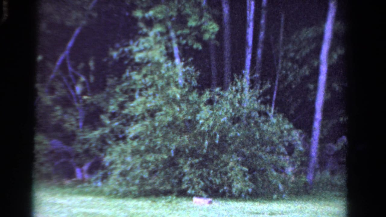 1958 Ontario footage holds on shrubs and trees beside a grassy foreground, with no person clearly visible in this sampled frame.