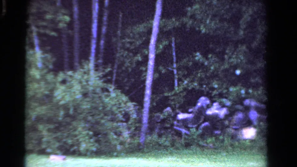 1958 Ontario home-movie frame showing a shaded garden or forest edge with grass, shrubs, vertical tree trunks, and stones.