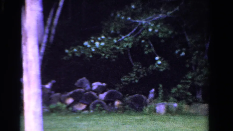 1958 Ontario 8mm frame showing a rural grassy field, low stone wall, rocks, and dark forest edge with a pale foreground tree trunk.