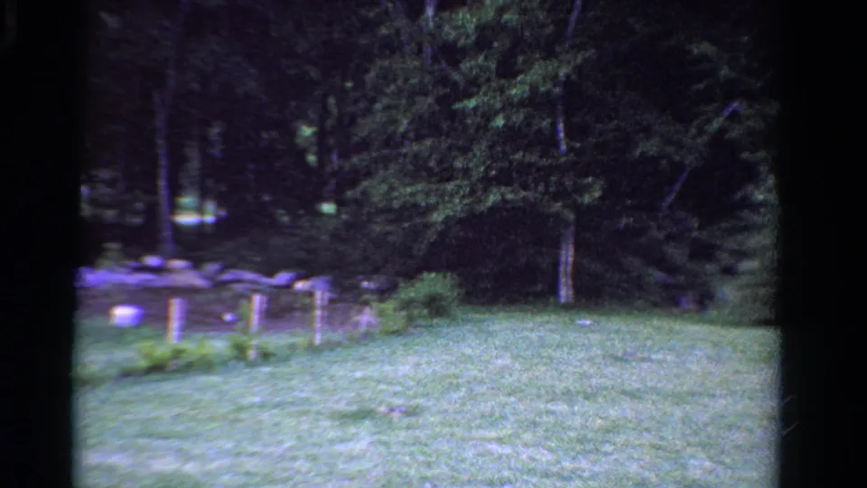 1958 Ontario rural landscape frame showing grass, trees, a low rock wall, and a small pale object near the field edge.