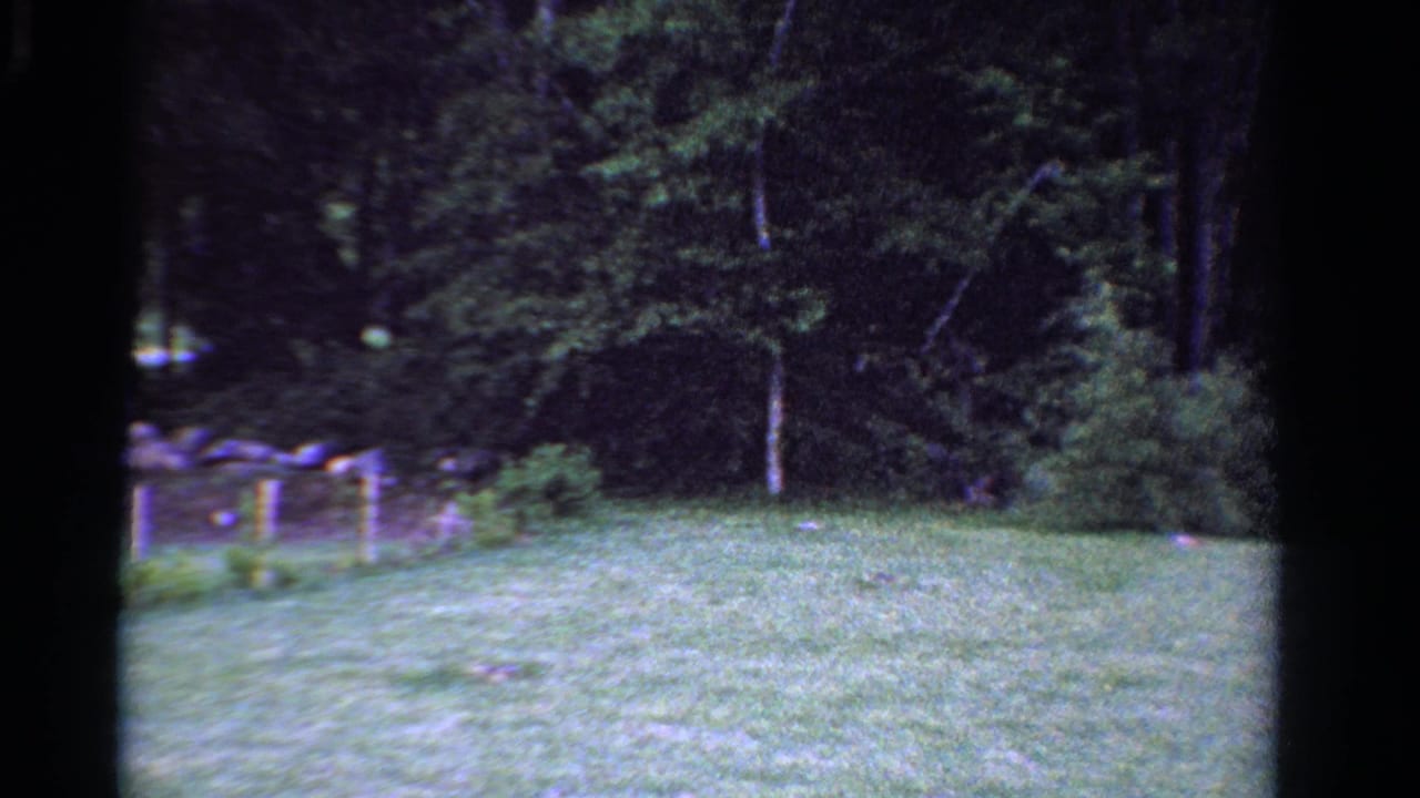 1958 Ontario 8mm frame showing a mowed yard, dense treeline, and a low stone wall near the left side.
