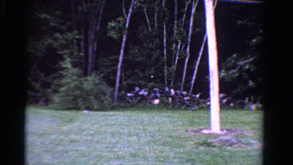 A pale wooden pole stands in the foreground of the 1958 Ontario yard, with rocks and dense trees behind it.