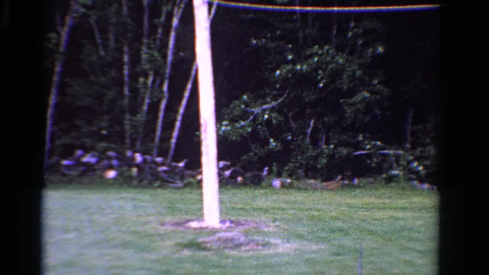 The pan settles with a pale wooden pole near center, backed by mowed grass, a low stone wall, and dark woodland in Ontario.