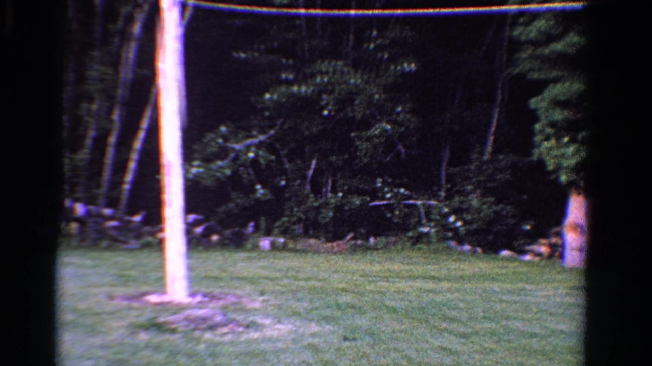 1958 Ontario home-movie frame showing a grassy backyard bordered by trees, with a wooden pole and the side of a house visible.