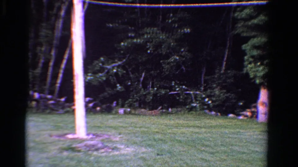 1958 Ontario home-movie frame showing a grassy backyard bordered by trees, with a wooden pole and the side of a house visible.
