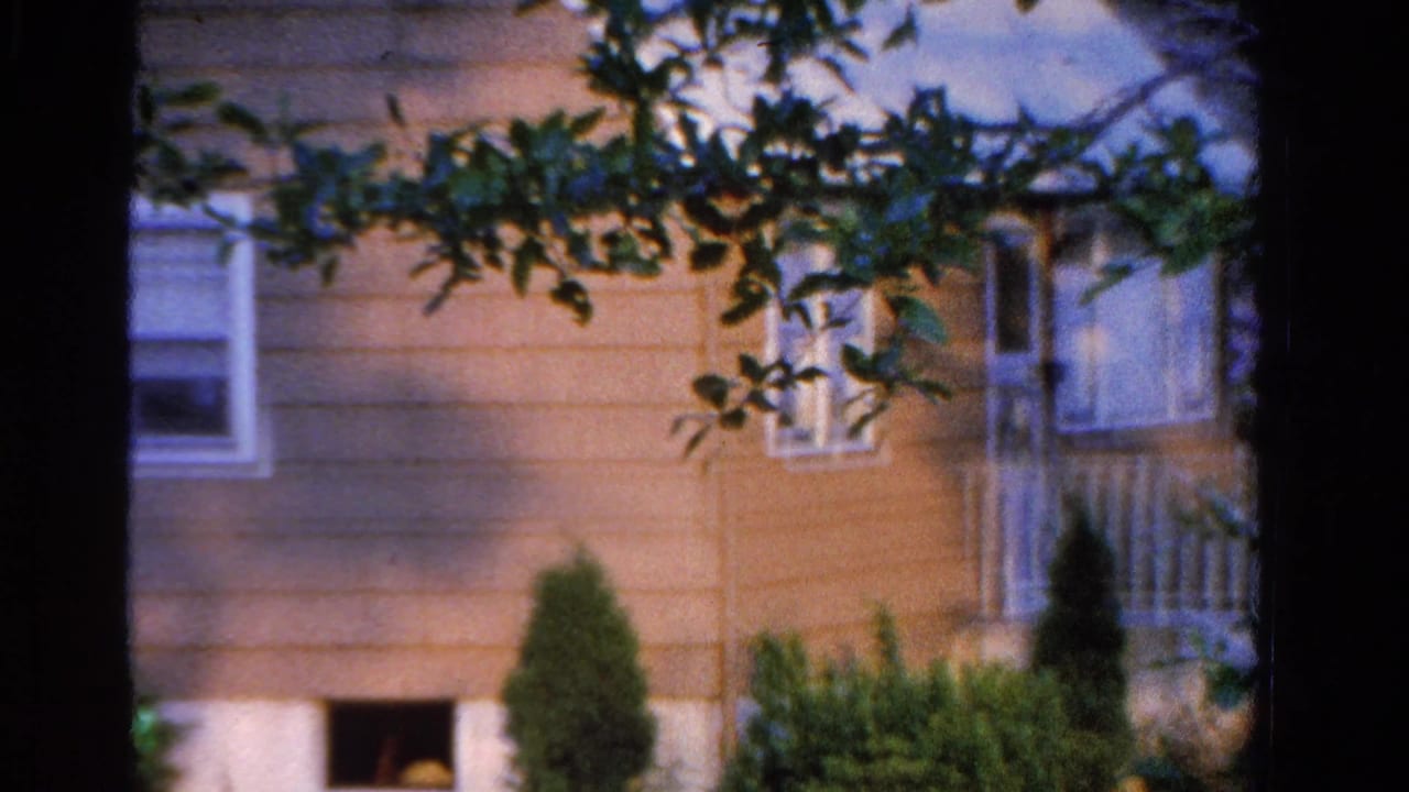 Light-colored house partly obscured by tree trunks and leafy branches.