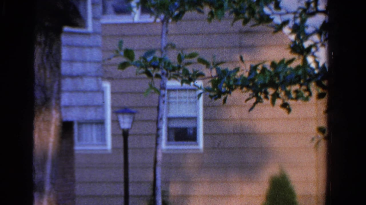House wall with windows, lamppost, and branches across the upper frame.