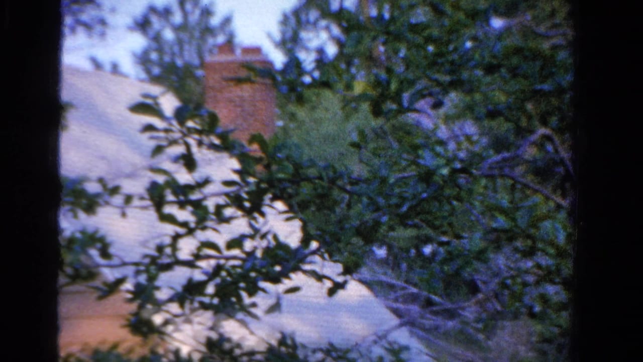 1958 Ontario home-movie frame showing a house roof and brick chimney behind leafy tree branches.