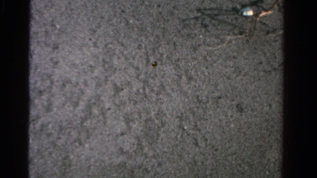 Close 8mm view of wet sand in the 1958 Ontario beach clip, with faint marks and no people or landmarks visible.