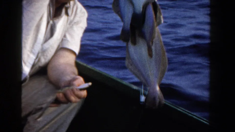 Several fish hang from a stringer near a seated man in a small boat, with calm lake water behind him in the 1958 Ontario clip.
