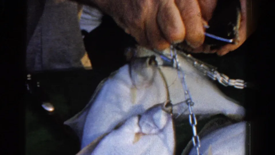 Close 1958 Ontario fishing detail with hands, chain, line, and a small fish visible inside the boat.