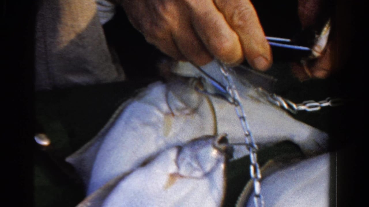 A close 8mm view shows a hand and metal chain above two freshly caught fish, with Ontario and 1958 supported by metadata.