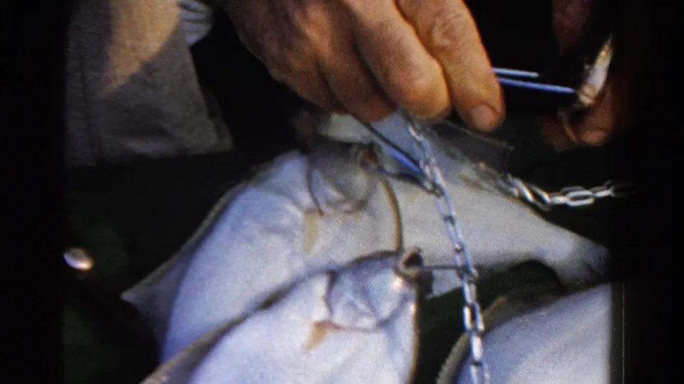 A close 8mm view shows a hand and metal chain above two freshly caught fish, with Ontario and 1958 supported by metadata.