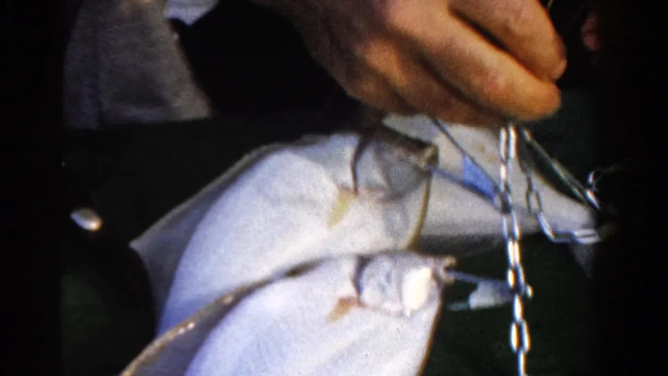 The home-movie frame shows a hand moving a chain or small tool near overlapping caught fish in the 1958 Ontario clip.
