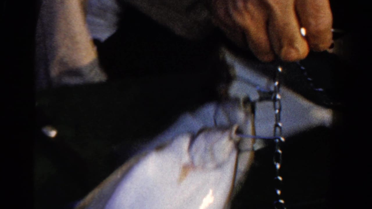 Close view from 1958 Ontario home-movie footage showing hands, a line or chain, and a silvery fish on a small boat.