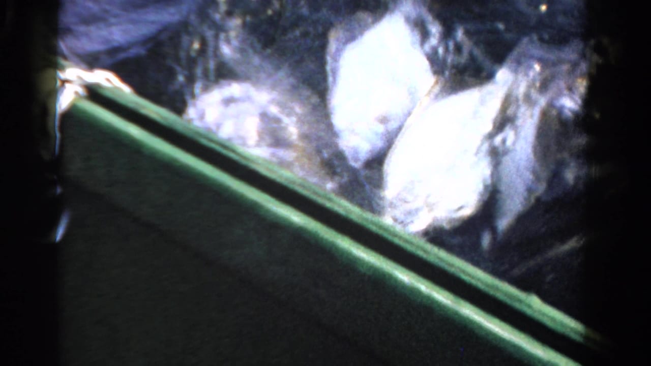 A silvery fish appears next to a green container during a 1958 Ontario fishing trip on 8mm home-movie footage.