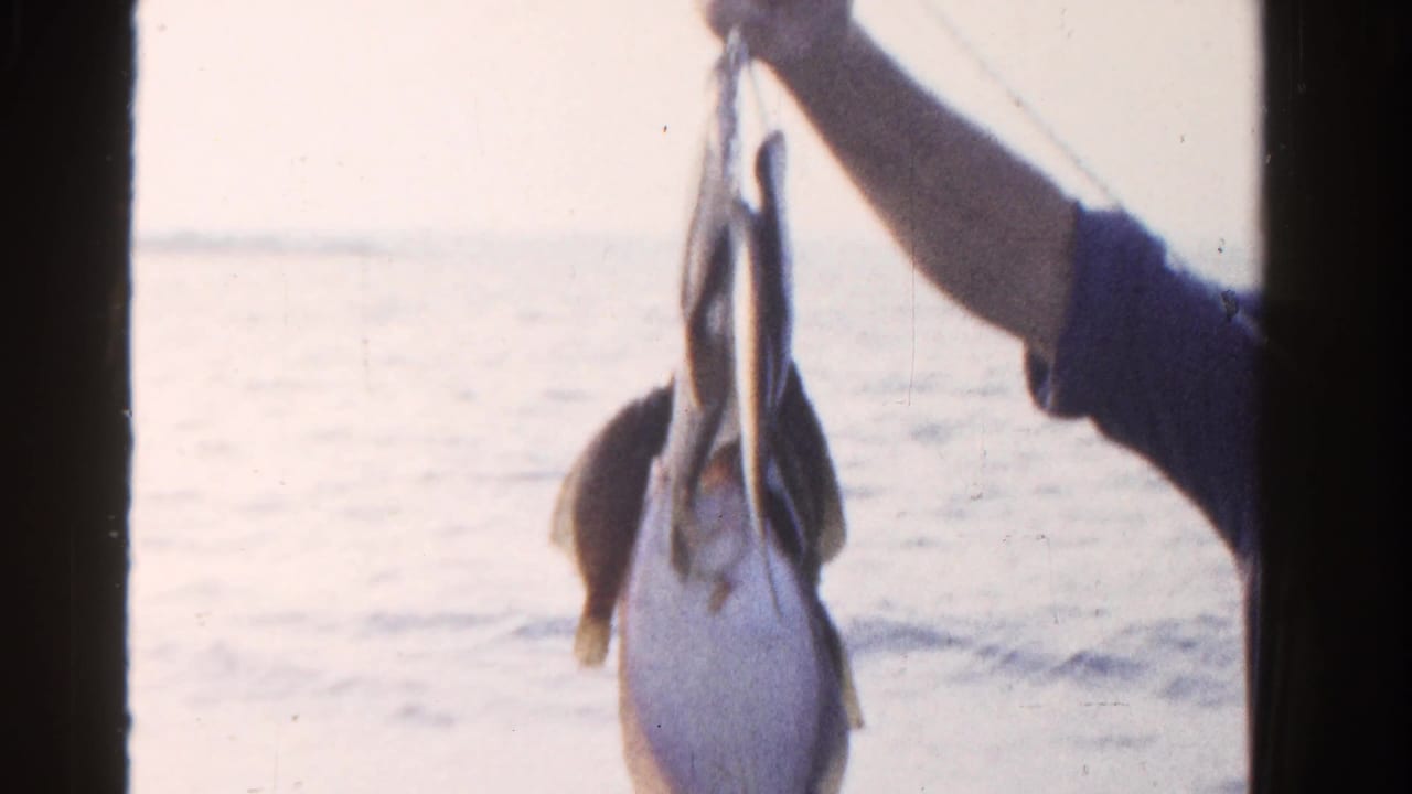 Arm holding several fish by a line with open water behind.
