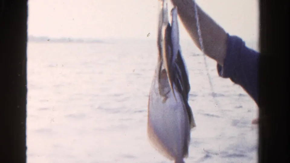 The home movie frames the catch closely, with multiple fish hanging from a line over open water.