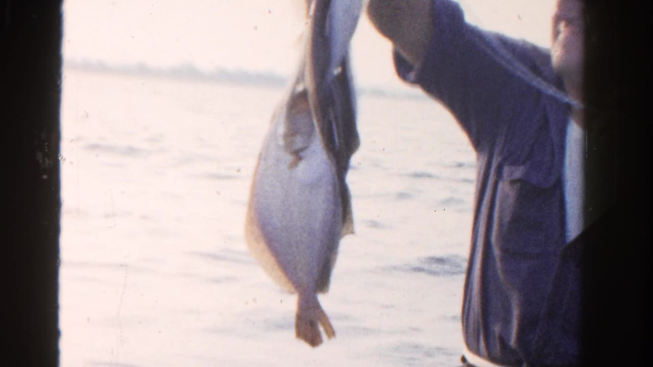 The fisherman stands at the right edge of the frame, raising his catch against bright water and a faint shoreline.