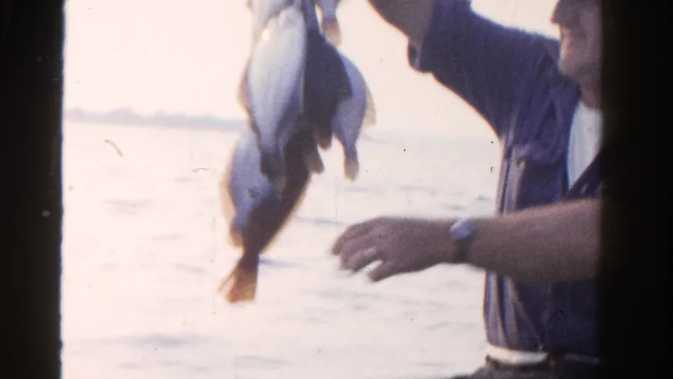 Several fish hang in the foreground while the fisherman, partly cropped, reaches near the line on the boat.