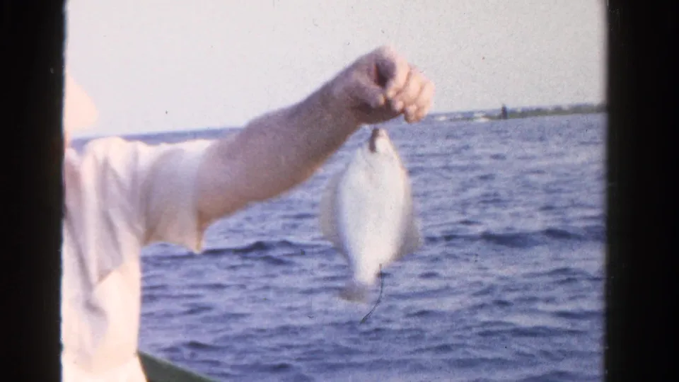 An adult hand holds a small fish over open water in 1958 Ontario fishing footage, with shoreline visible in the distance.