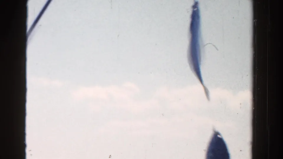 Two small fish hang from a line near a boat-side camera position, with bright sky and water behind them.