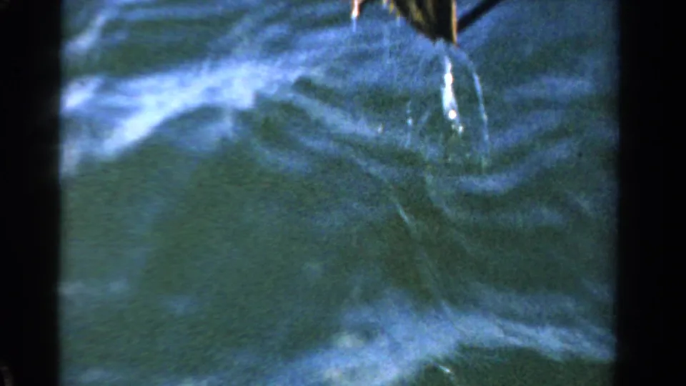 A close 8mm frame shows the horseshoe crab partly cropped as its tail and water trail cross the rippled surface.