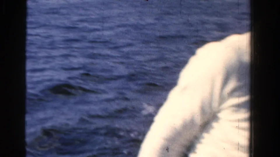 From the moving boat, rippled bay water fills the frame while a partial passenger in a light sweater enters at the right edge.