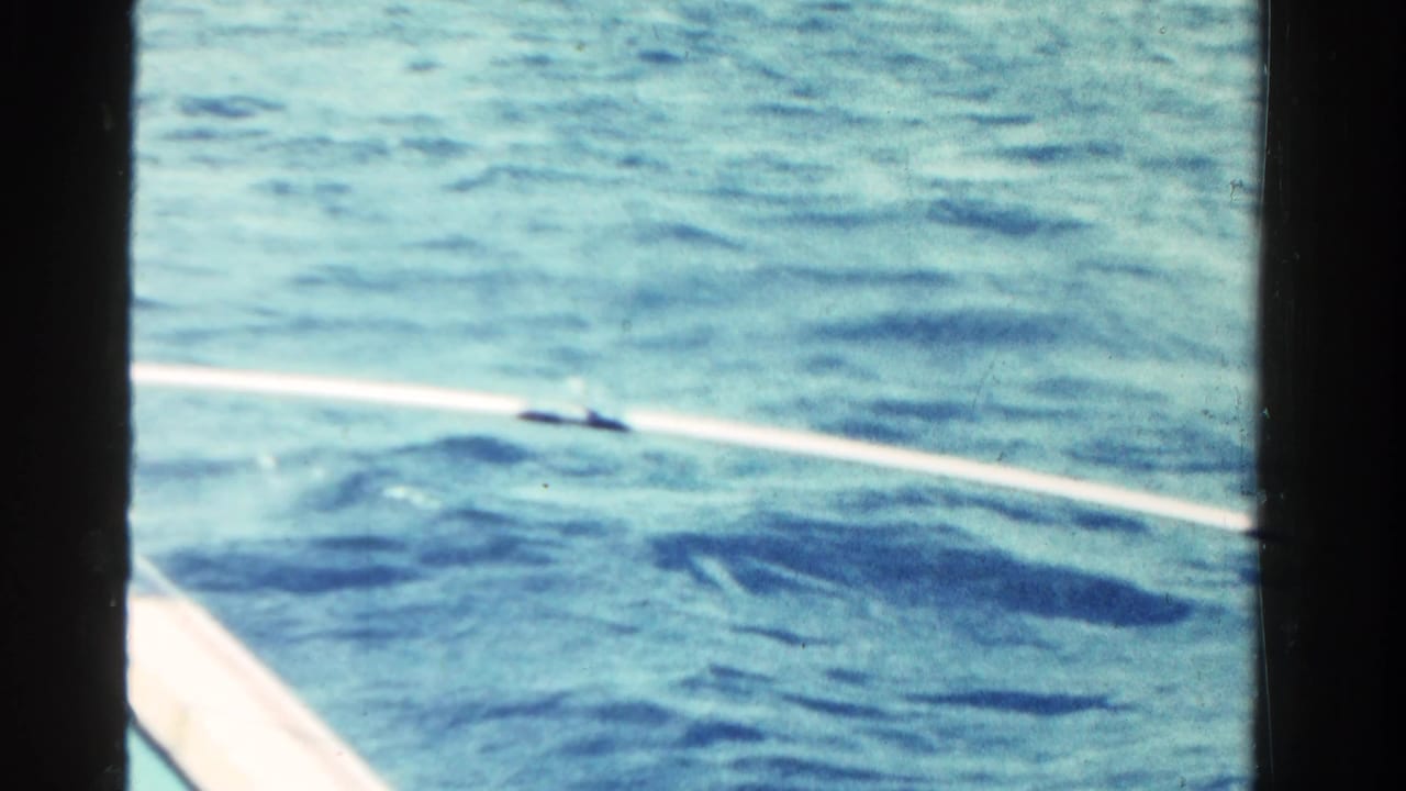 Water surface and the edge of a small boat seen from onboard.