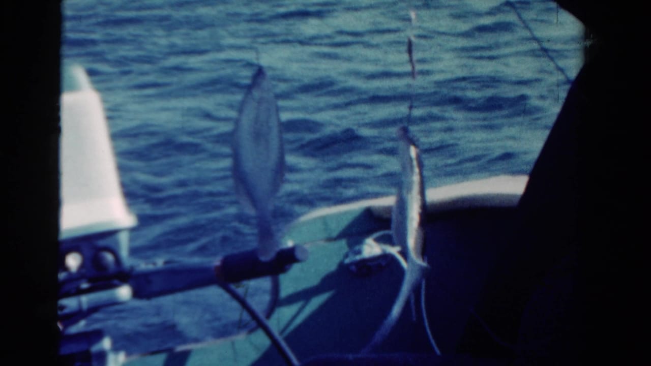 Two fish hang from fishing lines beside the boat over rippling water.