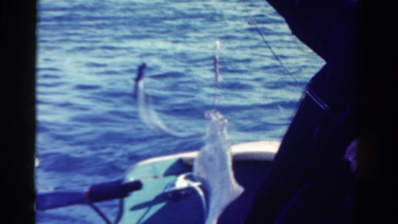 A caught fish hangs on a fishing line near the boat rail in 1958 Ontario home-movie footage.