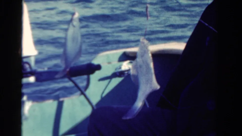 1958 Ontario 8mm frame with two flat-bodied fish hanging on lines beside a seated person in a small boat.