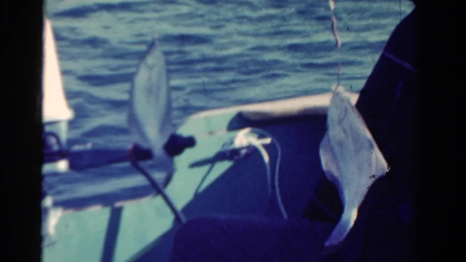 1958 Ontario home-movie frame showing two caught flat-bodied fish on lines beside a seated person in a small boat.