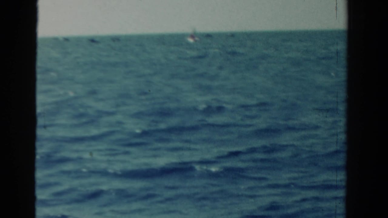 Open water with a faint distant sail near the horizon and dark side framing.