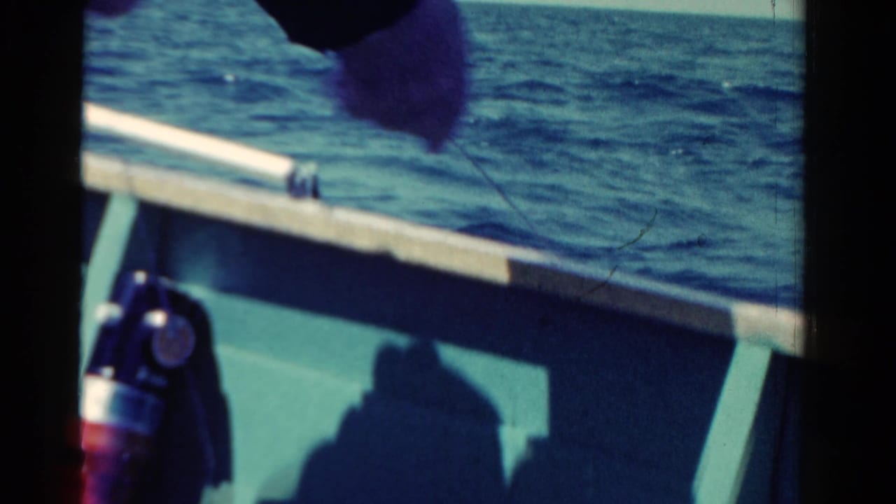 Person in a dark jacket leans over a small boat beside open water.