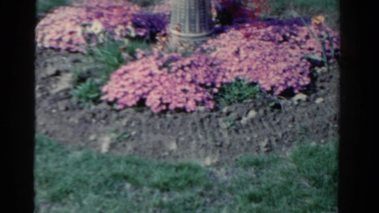 Circular flower bed with pink and purple blossoms beside green lawn and a partial stone pedestal.