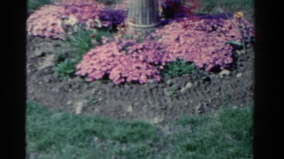 1958 Ontario 8mm frame showing a circular garden bed of pink and purple flowers, green lawn, soil border, and part of a stone pedestal.