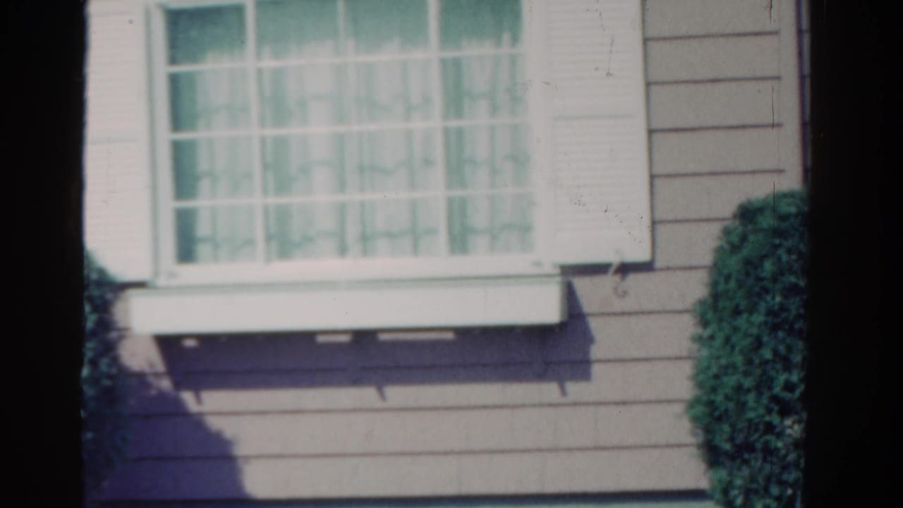 Curtained window with white shutters, clapboard siding, and part of a rounded shrub.