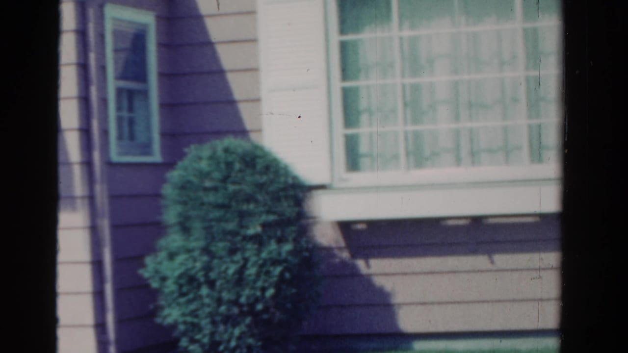 1958 Ontario exterior detail with clapboard siding, a small window, white trim, and a shaped shrub in bright sun.