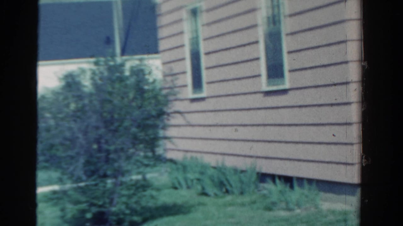 1958 Ontario yard view showing the side wall of a clapboard house with windows, shrubs, lawn, and planted greenery.
