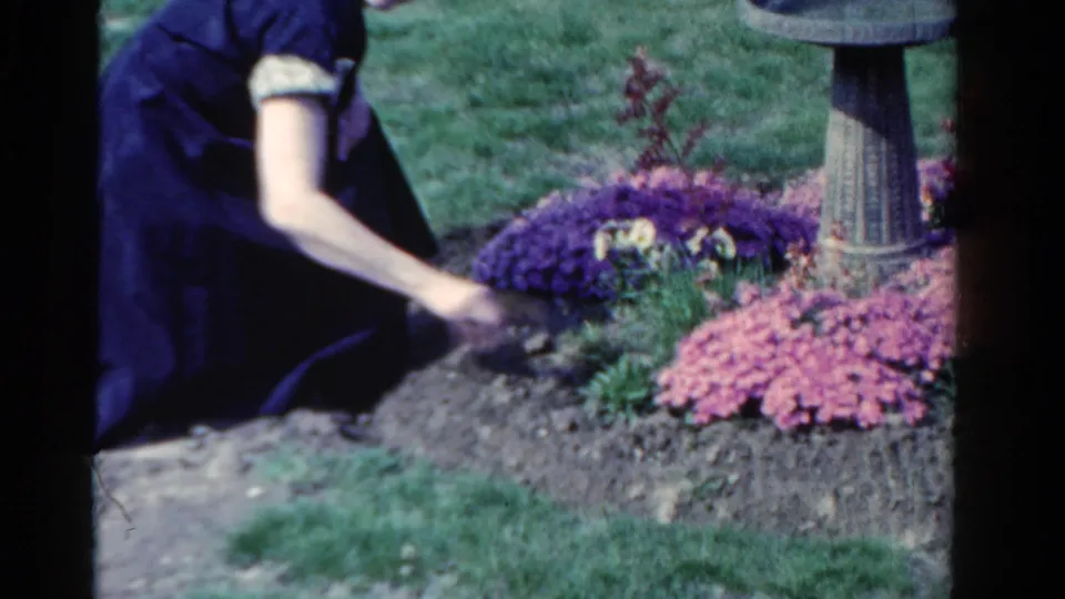 In the final frame, the woman reaches into the flowerbed beside purple and pink blooms, with the birdbath at the right edge.