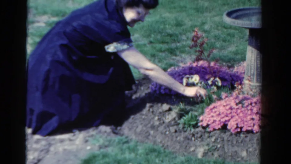 In 1958 Ontario home-movie footage, a woman kneels in a garden bed, reaching toward pink and purple flowers near a stone marker.