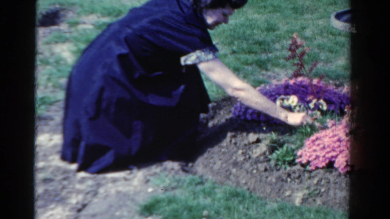 A woman in a dark dress leans over a small flowerbed in Ontario, Canada, carefully reaching toward blooms beside a memorial marker.