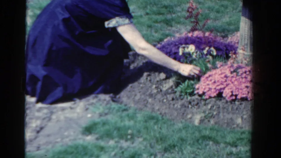 In 1958 Ontario home-movie footage, a woman in a dark dress reaches toward flowers growing from a mound of soil near a lawn.