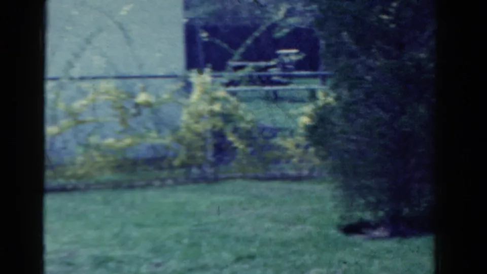 The home-movie view continues across a grassy Ontario yard with shrubs, a fence, and a darker evergreen shape near the frame edge.